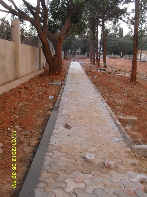 Image 19